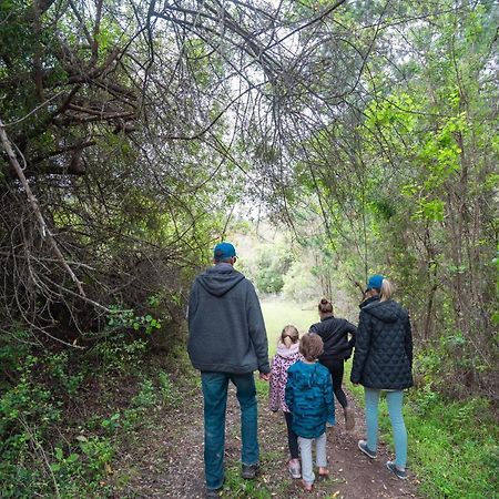 Willa Africamps At Ingwe Plettenberg Bay Zewnętrze zdjęcie