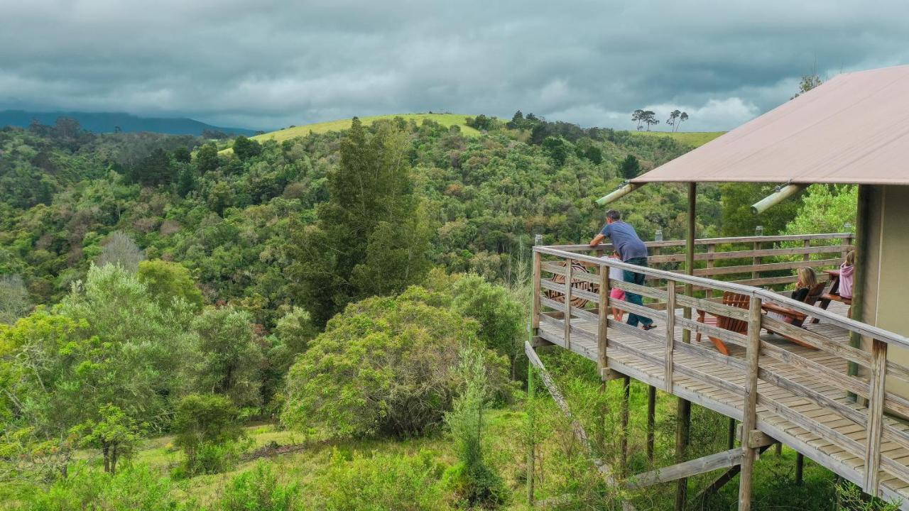 Willa Africamps At Ingwe Plettenberg Bay Zewnętrze zdjęcie